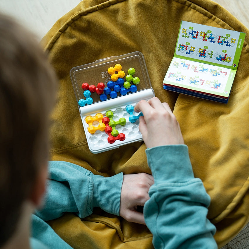 Jeu de logique IQ Twins