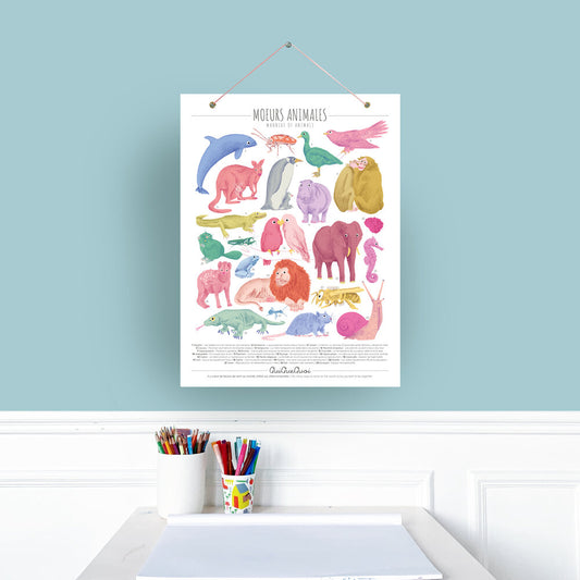 Affiche Moeurs animales