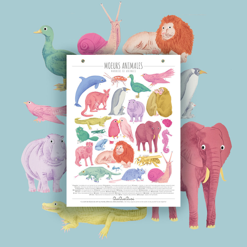 Affiche Moeurs animales