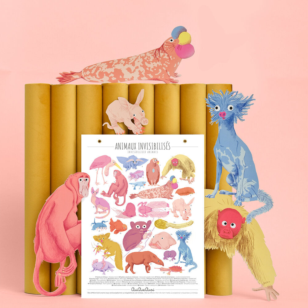 Affiche Animaux invisibilisés