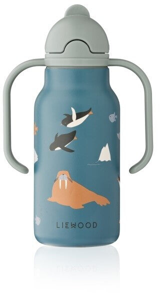 Gourde isotherme 250 ml (plusieurs motifs)